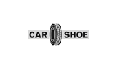 car-shoe.jpg