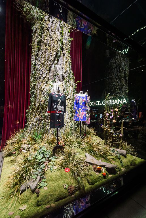 D&G Windows Display