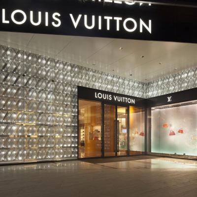 Louis Vuitton Wd20150129003